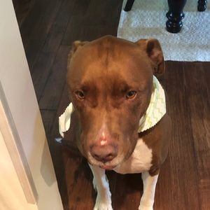 Meet your Posher, Sherry